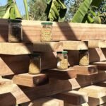 Rice Museum, Mandya, 2025